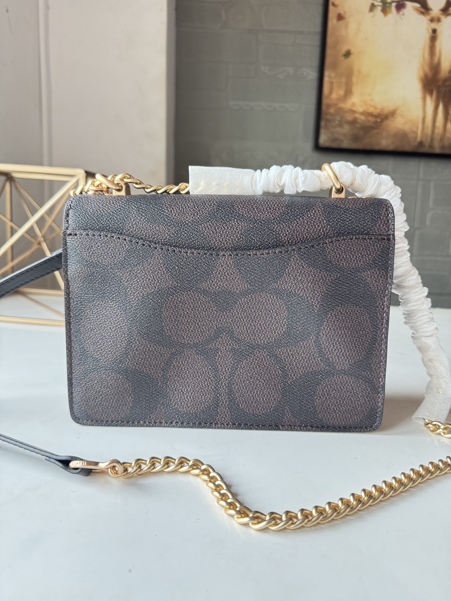 Women Handbag CY678 Klare Blocked Signature Canvas Crossbody Shoulder Sling Chain Bag