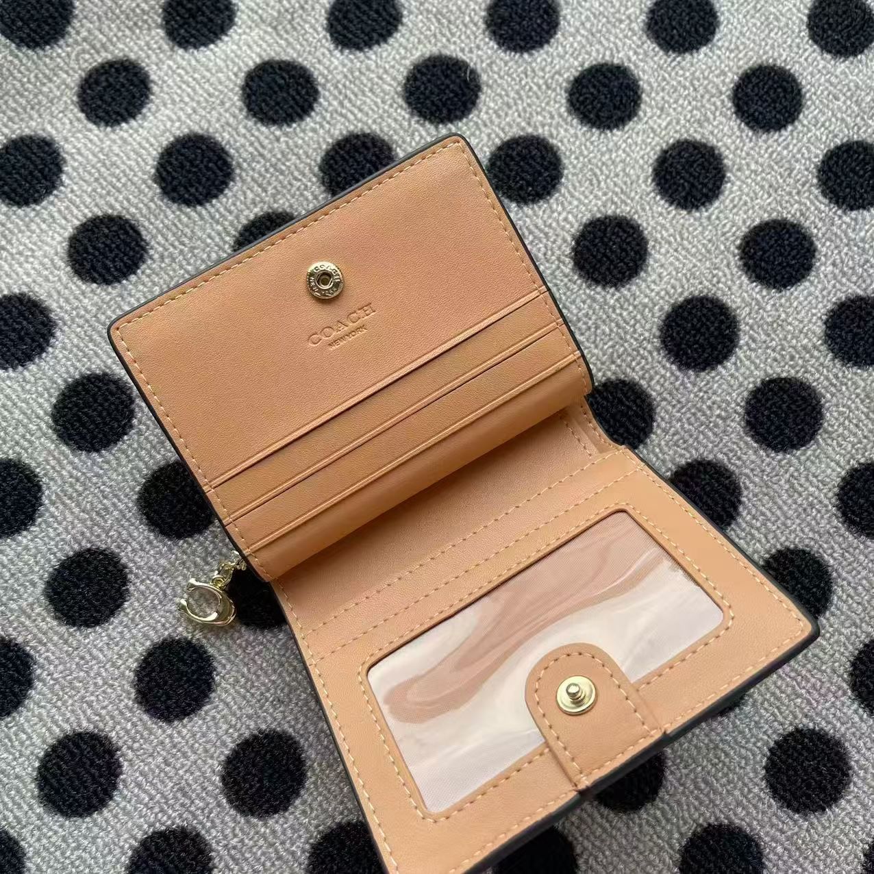 Women Handbag CW789 Snap Wallet In Signature Canvas