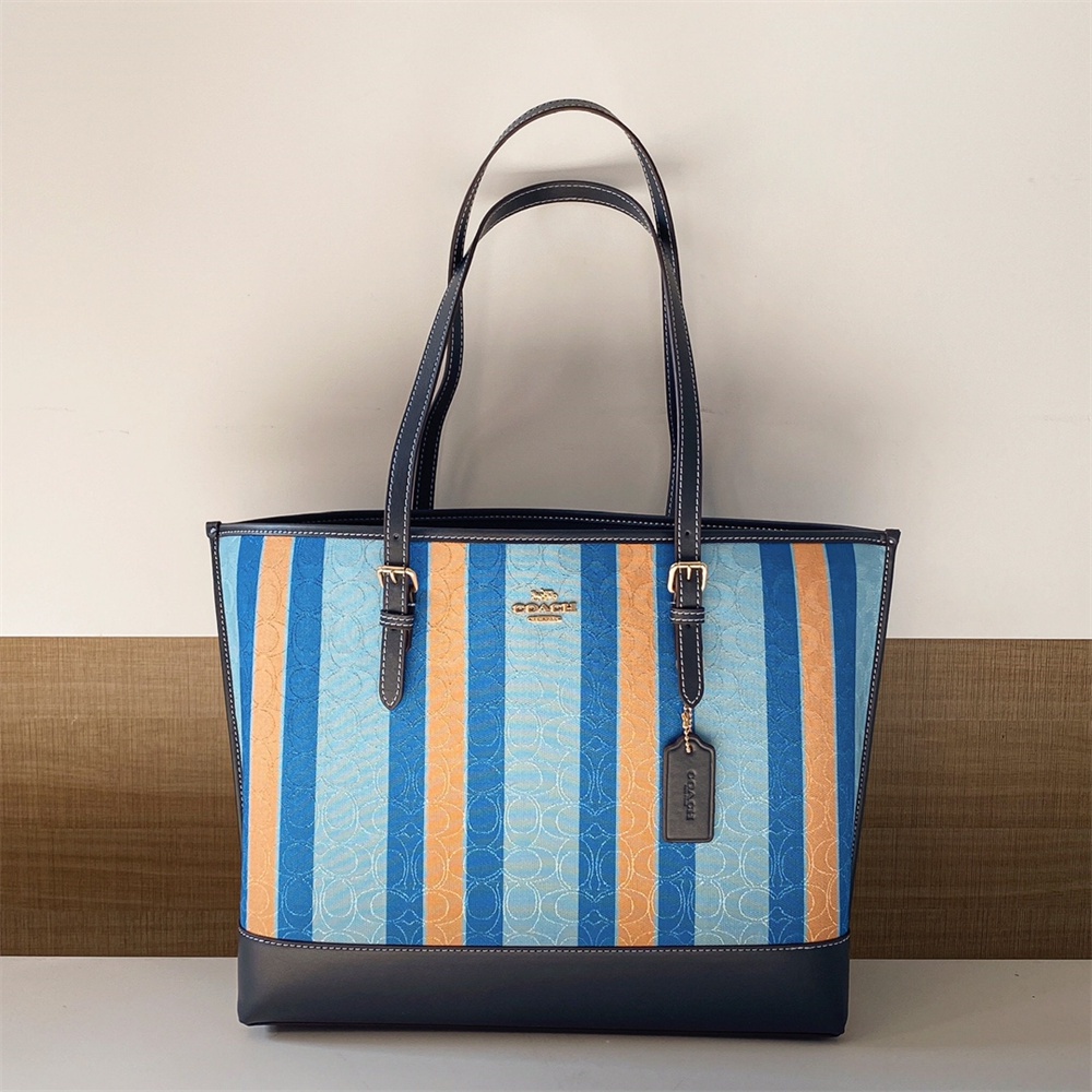 Coach 1665 1671 C4087 C4088 C8612 C8215 CB650 Mollie Tote Leather Women Shoulder Bag Handbag