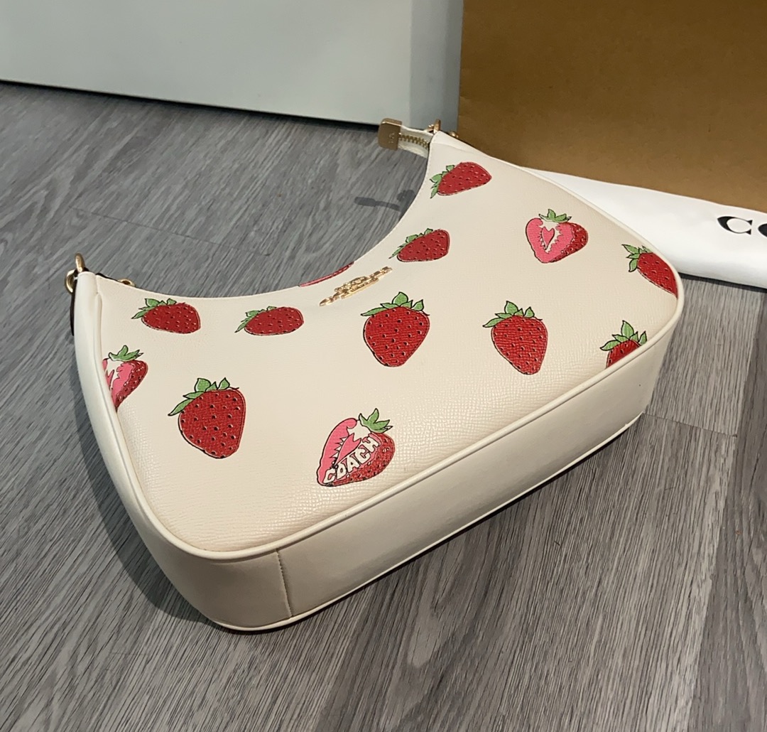 Women Handbag CAL67 Teri Hobo Shoulder Bag