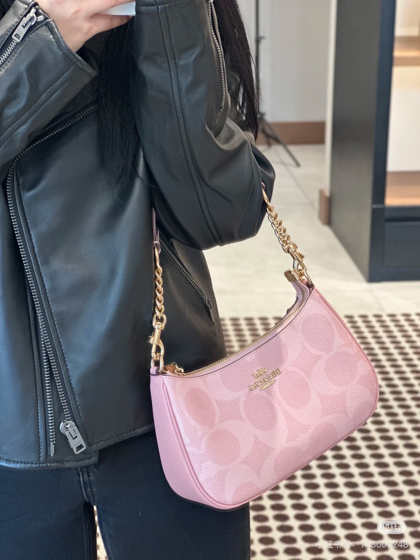 Women handbag CAL51 Teri In Signature Canvas sling chain Shoulder Bag