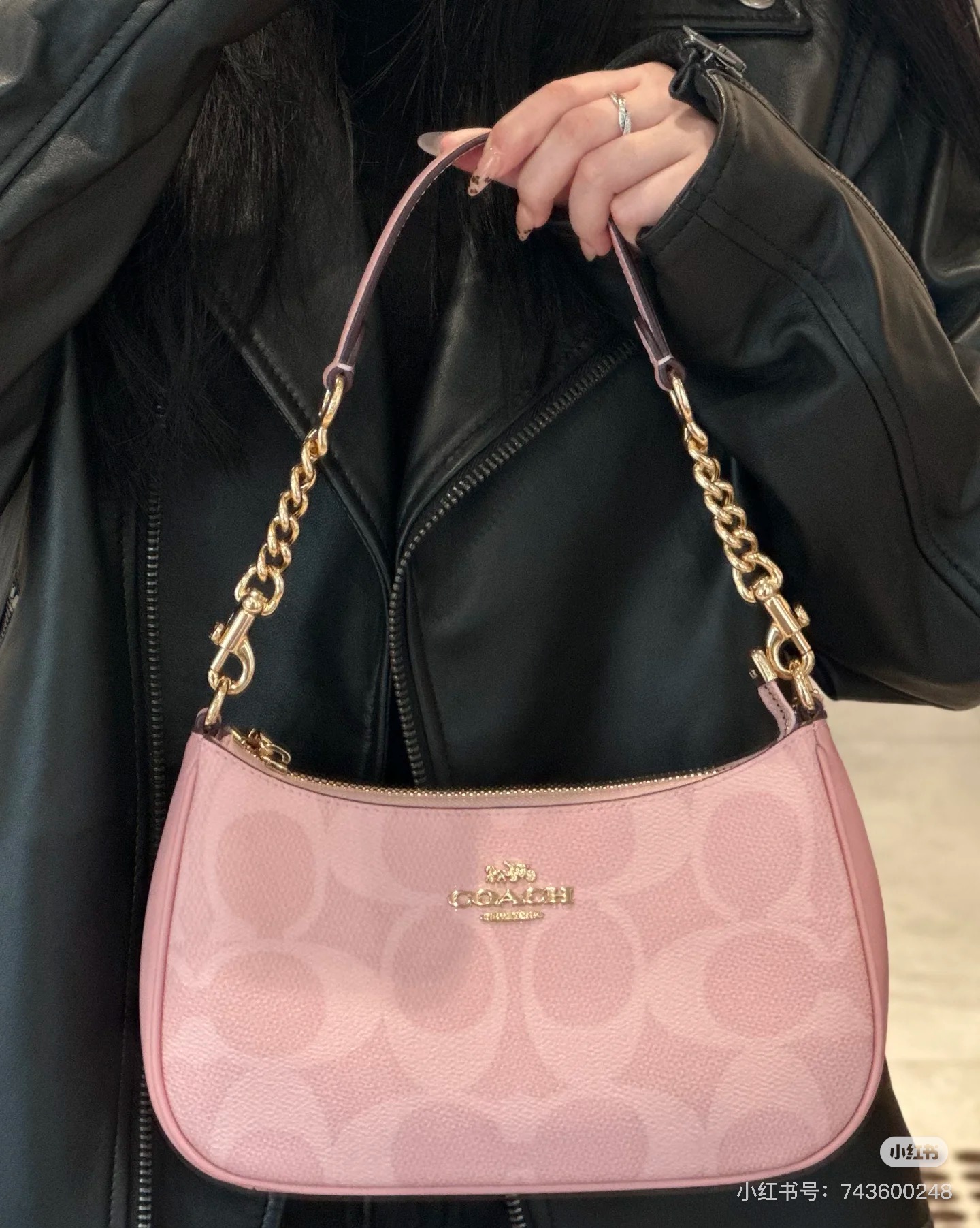 Women handbag CAL51 Teri In Signature Canvas sling chain Shoulder Bag