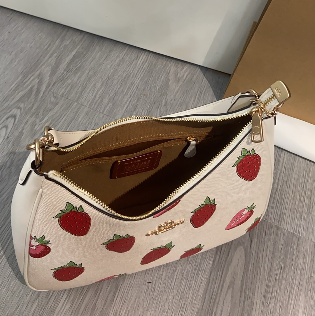 Women Handbag CAL67 Teri Hobo Shoulder Bag