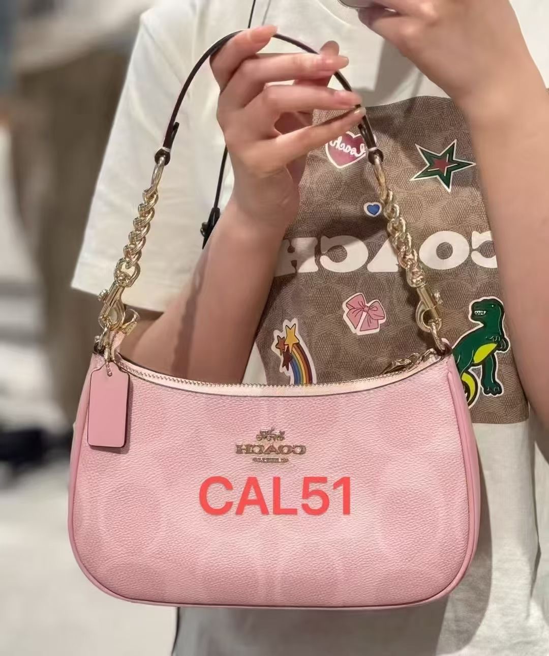 Women handbag CAL51 Teri In Signature Canvas sling chain Shoulder Bag