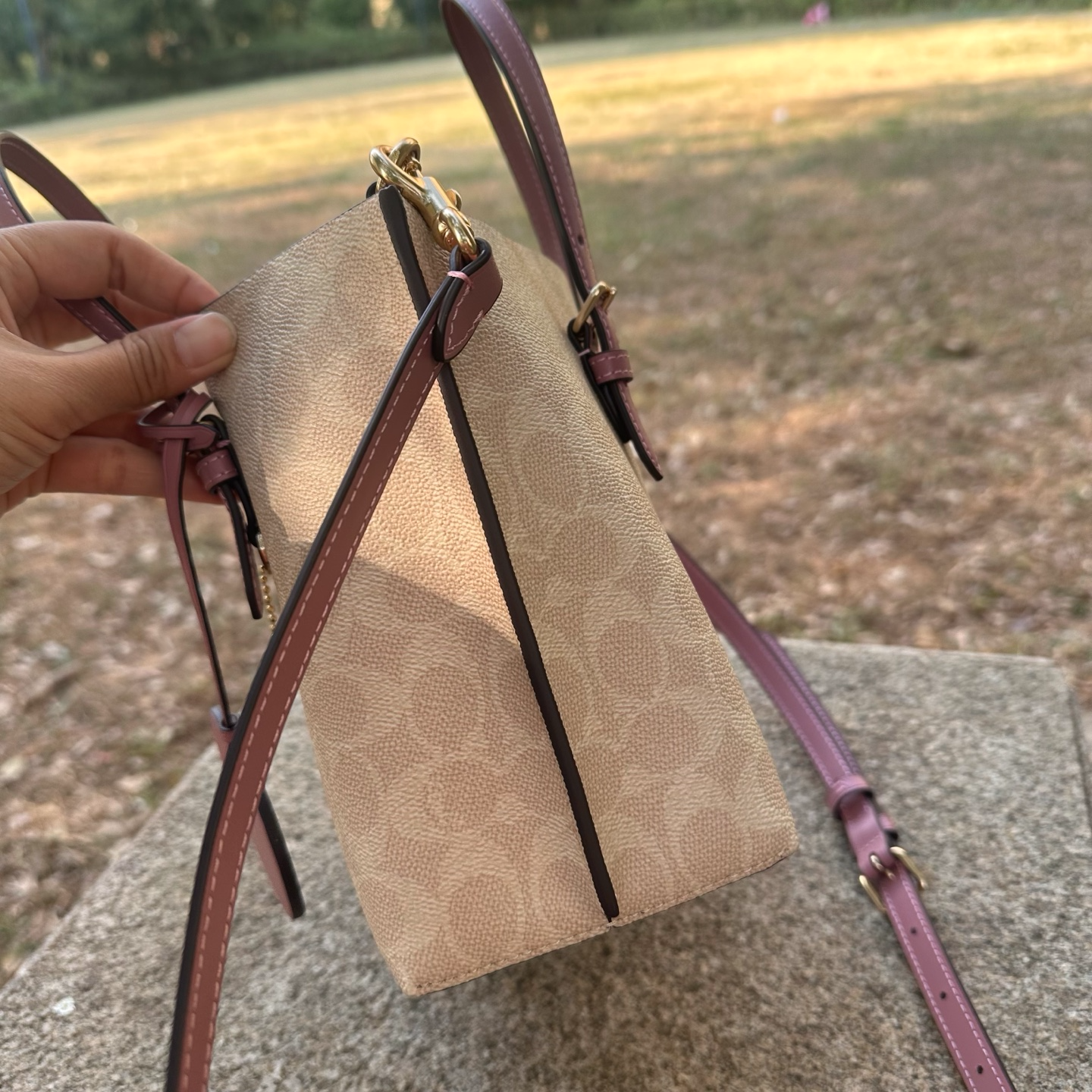 women handbag CDF03 Mollie Tote Bag 25  Signature Canvas Heart Charm