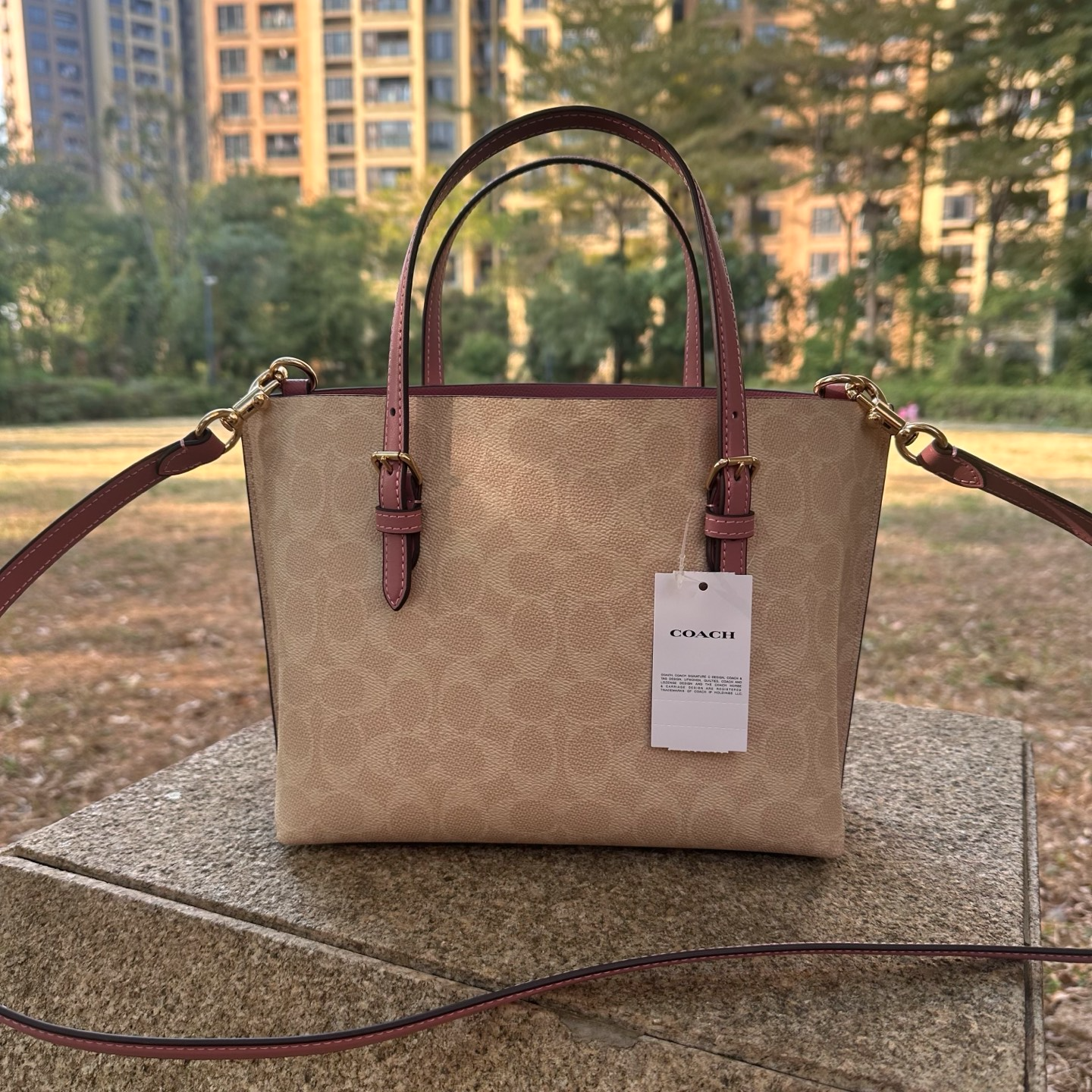 women handbag CDF03 Mollie Tote Bag 25  Signature Canvas Heart Charm